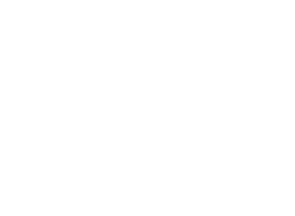 DR FLEMP Training course